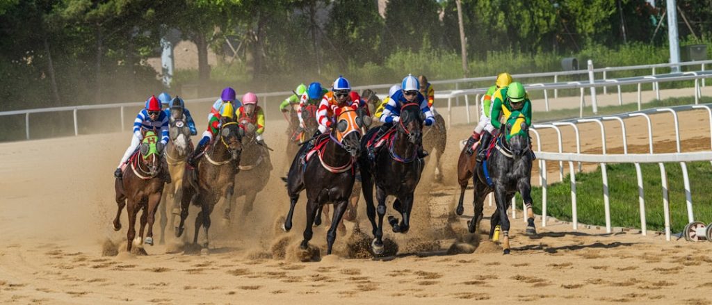 北海道スプリントカップにJRA馬4頭参戦