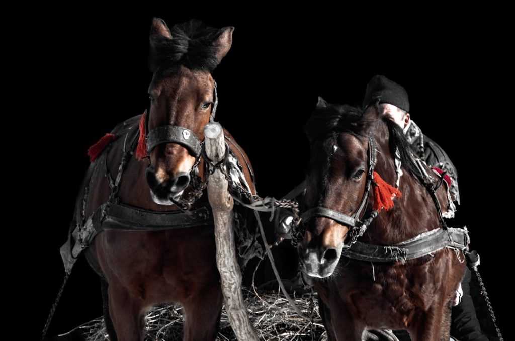 真中満&五十嵐亮太がサガデーナイト競馬を特集