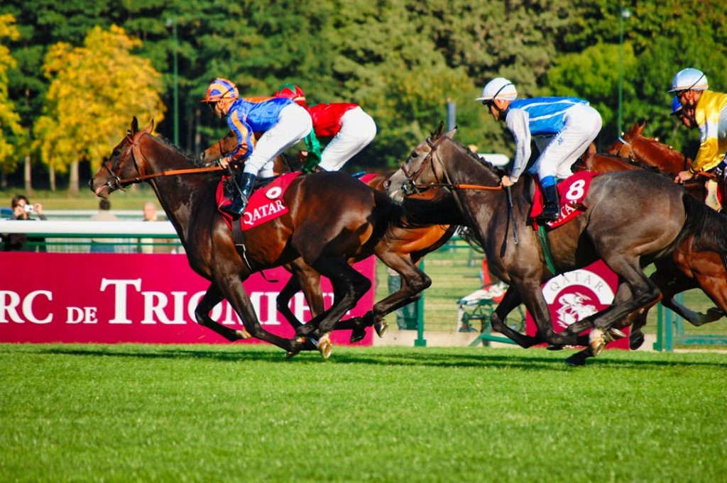 ガビーズシスター、JRA登録抹消し大井競馬へ