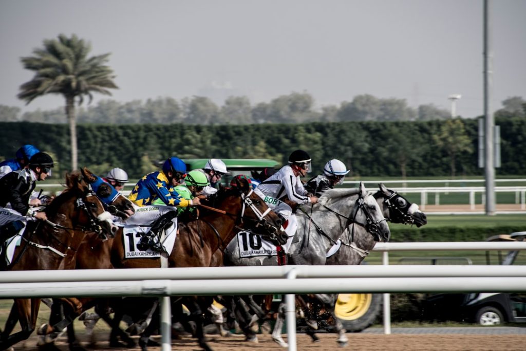 競馬を通じた人間関係の物語「たかぎさんのおはなし」