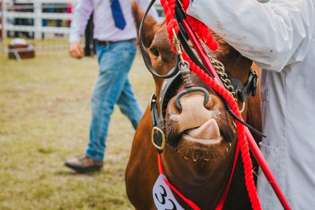 競馬と日常をつなぐ新連載スタート