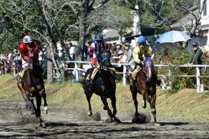 雁来月特別(B3) グレイスカリヨンの連勝狙いも穴馬エゴンウレアに要注意