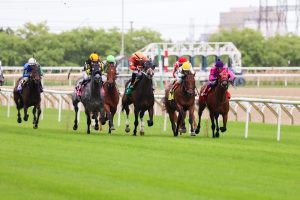 楽天競馬賞・盛岡ダート1400m、人気薄の台頭余地を読む