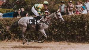 門別2R 2歳未勝利｜ウィルフレッド圧倒的1番人気も斤量と騎手に注視