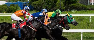 浦和2R 3歳三 メルシークーリアの1位評価は妥当か検証