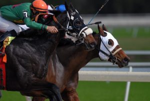 スマホで投票!楽天競馬賞 シュプリームアロー軸の力関係