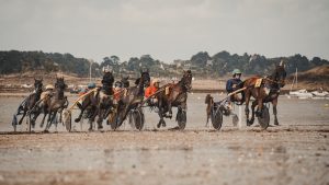 門別6R C4-3 ボブノップスターンの圧倒的支持は本当か