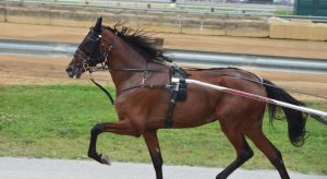門別8R C4-2 1.6倍本命は危険 直近好走馬の◎が狙い目