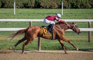 グランシャリオドリーム44 ミッドナイトゲイルの連勝狙い