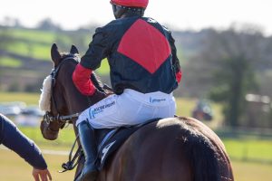 ネモフィラ特別、人気馬の重負担vs軽量馬の立て直し