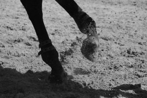 金沢ダート900m、軽斤量馬の台頭に注視したC1C2戦