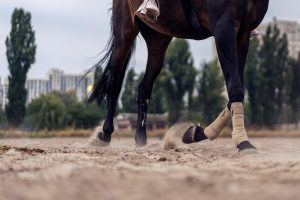 C21組 笠松ダ1400m 軽量馬の台頭に注視