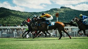 園田C2一 1400m｜1番人気ノリキングの信頼性と軽量馬の台頭