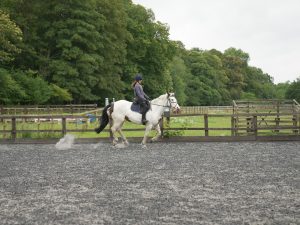 門別2歳未勝利 軽ハンデの1番が抜け出す展開か