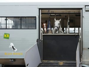 オータムライト級カップ 最軽量の2歳牝馬が狙い目