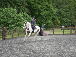 流鏑馬賞(C2)川崎ダート900m｜軽斤量の台頭と直近好走馬の競合