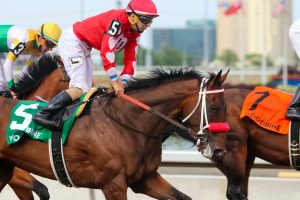 オパール特別(2歳)門別ダート1700m｜軽斤量の本命が優位