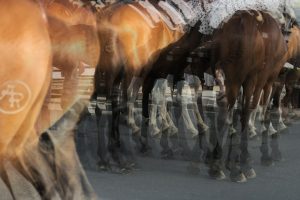 園田2R C3二 エアザキントスの1番人気を抑える選択肢