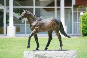 サルビアカップ(3歳) OP ◎コスモスフレイバー 中心に秋競馬本番へ