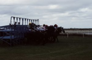 UMATENA賞(C2)佐賀ダート1400m｜圧倒的1番人気の信頼度と中位馬の台頭