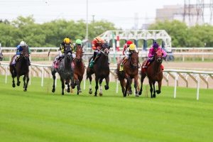 楽天競馬特別B2｜シナツヒメの圧倒的優位を揺さぶる要素を検証