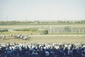 秋の暮特別(C3)・浦和ダート2000m　ルラクソントの人気は正当か