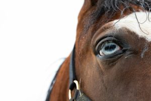 名古屋2R C7組 ダート1500m｜圧倒的人気馬の信頼度と中位馬の浮上線