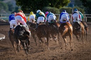 名古屋C5組 ジャスパーレオンの圧倒的優位か、アンファール軽量の急襲に要注意