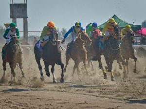 盛岡5R B2 ジュノヴェール軸に人気馬マコトダイトウレン対抗