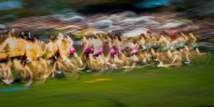 浦和6R特選C2 マチルダが抜け出す構図、ただし上位人気にひと工夫