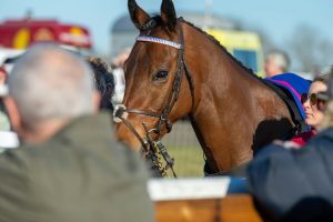 ミズナラ盃、人気馬の重負担に潜む隙を狙う一戦