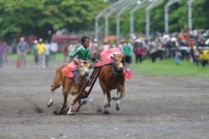 盛岡B2ダート1200m：人気馬の信頼性と軽斤量の切り札
