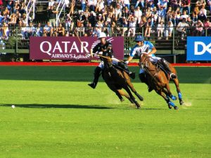 C18組・笠松ダ1400m リコーレッドアイの短期連勝狙いvs.サンモリッツの巻き返し