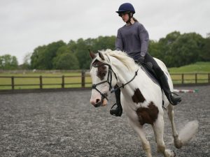 門別4R ボブノップスターンの信頼度と中位馬の浮上可能性