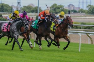 紅葉特別 連勝中のアルヴァレスと人気1位の対比が焦点