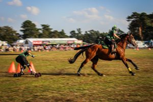 門別2歳未勝利は人気馬の信頼性がカギ、斤量有利の伏兵も照準