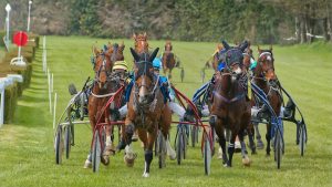 名古屋ダート1500m イザベルソレイユvs スッサンエアの二強対決