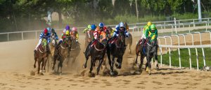秋気特別C1 園田1400m 人気馬の競争激化で狙い目浮上