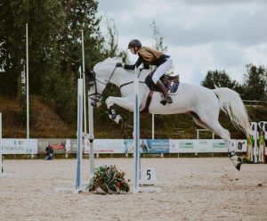 都電とバラの街あらかわ賞 リコーヘンメリーが抜け出す適性