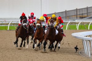 名光坂賞(B3)大井ダ1400m　上位人気の信頼度と斤量差の評価